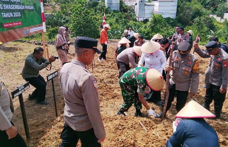 IMG-20251008-WA0011(3) IMG-20251008-WA0011(3)